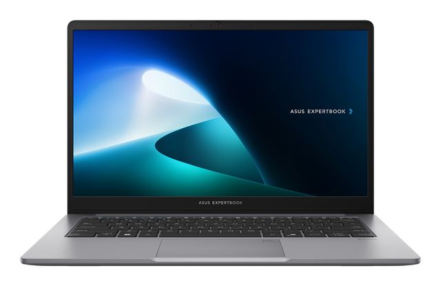 Asus Expertbook P1 Series