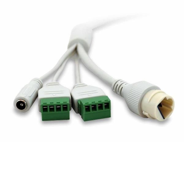 LevelOne GEMINI series FCS-3402 - Telecamera di sorveglianza connessa in rete -…