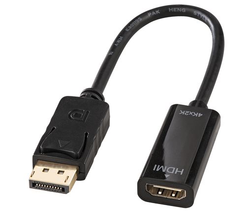 Lindy - Adattatore video - DisplayPort maschio a HDMI femmina - nero - supporto…