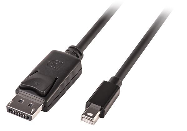 Lindy - Cavo DisplayPort - DisplayPort (M) a Mini DisplayPort (M) - 3 m - chius…