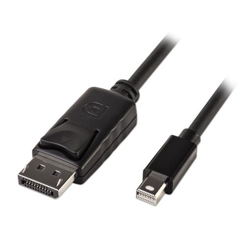 Lindy - Cavo DisplayPort - Mini DisplayPort (M) a DisplayPort (M) - 2 m - nero
