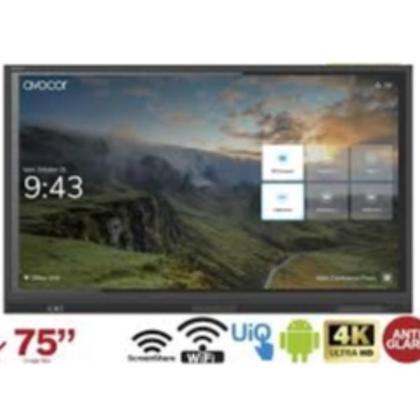 Avocor - 75" Categoria diagonale E Series Display LCD retroilluminato a LED - i…