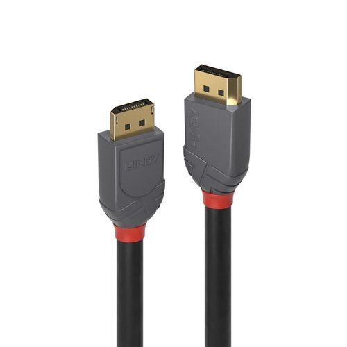Lindy Anthra Line - Cavo DisplayPort - DisplayPort (M) a DisplayPort (M) - Disp…
