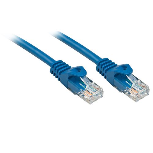 Lindy Basic - Cavo patch - RJ-45 (M) a RJ-45 (M) - 30 cm - UTP - CAT 6 - stampa…
