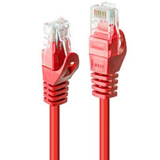 Lindy Basic - Cavo patch - RJ-45 (M) a RJ-45 (M) - 50 cm - UTP - CAT 6 - stampa…
