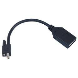 Matrox TripleHead2go upgrade - Adattatore DisplayPort - Mini DisplayPort (M) a …