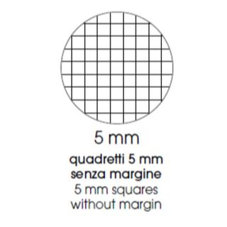 Maxiquaderno Animal fantasia - A4 - 5mm - 40+2 fogli - 80gr - BM