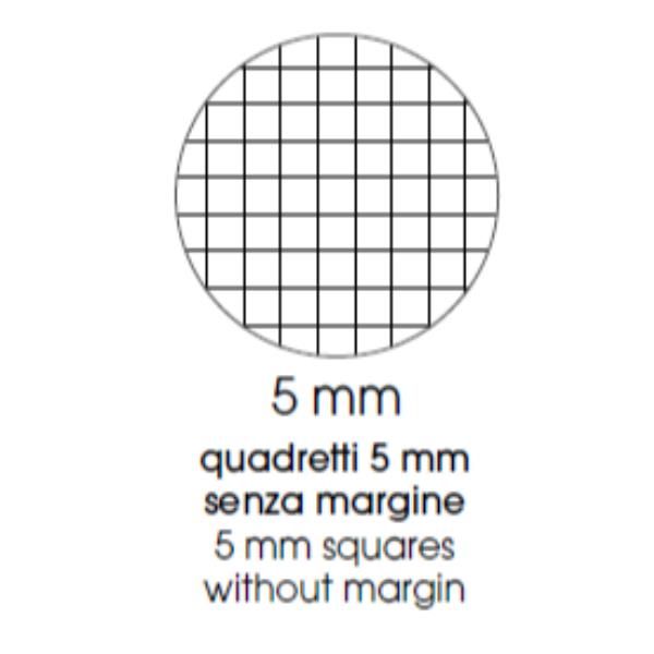 Maxiquaderno Animal fantasia - A4 - 5mm - 40+2 fogli - 80gr - BM