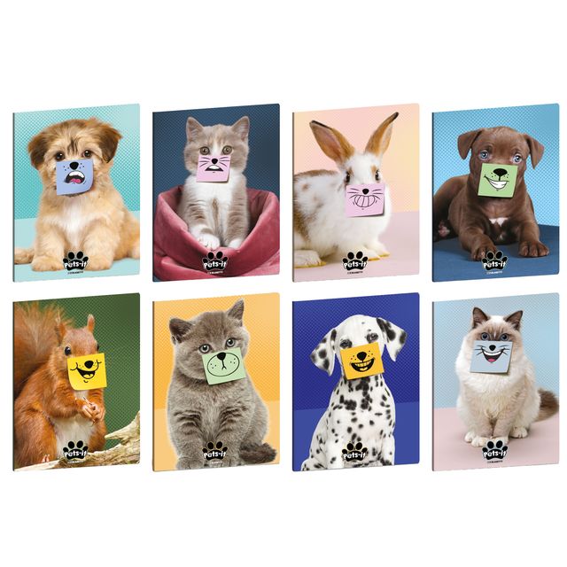 Maxiquaderno Pets-IT - A4 - 4mm c/margine - 20+1 fogli - 80 gr - Blasetti