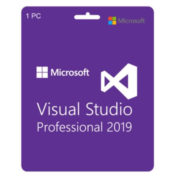 Microsoft Visual Studio Professional Edition - Licenza e garanzia software aggi…