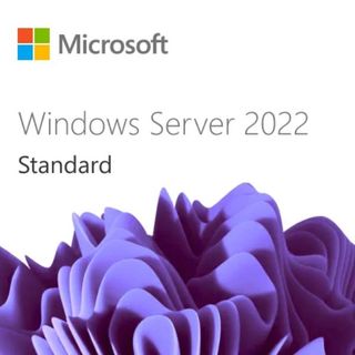 Microsoft Windows Server Standard Edition - Licenza e garanzia software aggiorn…