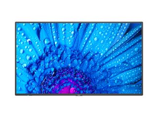 NEC MultiSync M651 - 65" Categoria diagonale M Series Display LCD retroillumina…