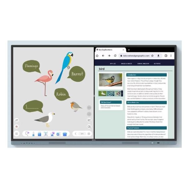 BenQ RM6504, 165,1 cm (65ʺ), 1428,5 x 803,4 mm, 450 cd/m², 3840 x 2160 Pixel, 4…