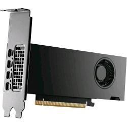 NVIDIA RTX 2000 Ada Generation - Scheda grafica - NVIDIA RTX 2000 Ada - 16 GB G…