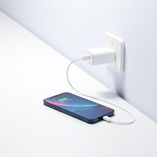 20W USB-C PD Dual Port Wall Charger EU - White