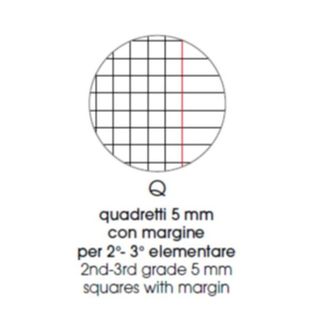 PIGNA CUCCIOLI QUADERNO PUNTO METALLICO 210X297 mm A4 80 GR 20 FOGLI A QUADRETT…