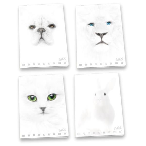 Pigna Monocromo White - Quaderno - graffettato - A4 - 19 fogli - righe - dispon…