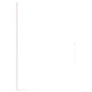 Pouches Capture125 - A6 - 111x154 mm - 2x125 micron - Fellowes - scatola 100 pe…