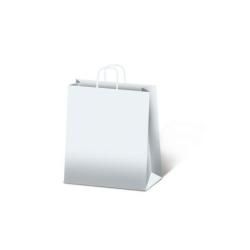 Sacchetti da regalo Rex-Sadoch Allegra tinta unita 36x12x41 cm bianco conf. da …