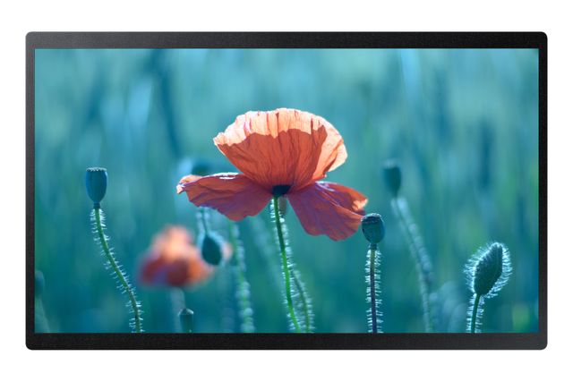 Samsung QB24R-B - 24" Categoria diagonale (23.8" visualizzabile) - QBR Series D…
