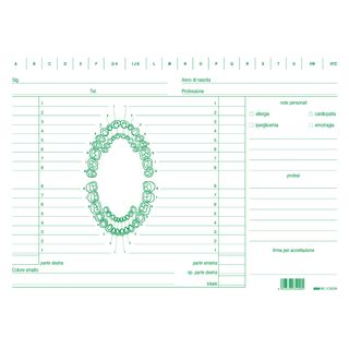 Schede in cartoncino per dentisti - 17 x 24 cm - verde - Edipro - conf. 100 pez…