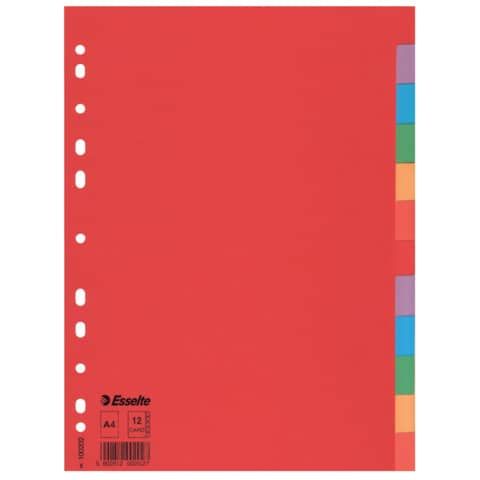 Separatore Economy - 12 tasti - cartoncino colorato 160 gr - A4 - multicolore -…