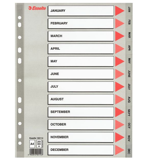 Separatore mensile Gen/Dic - PP - A4 - grigio - Esselte
