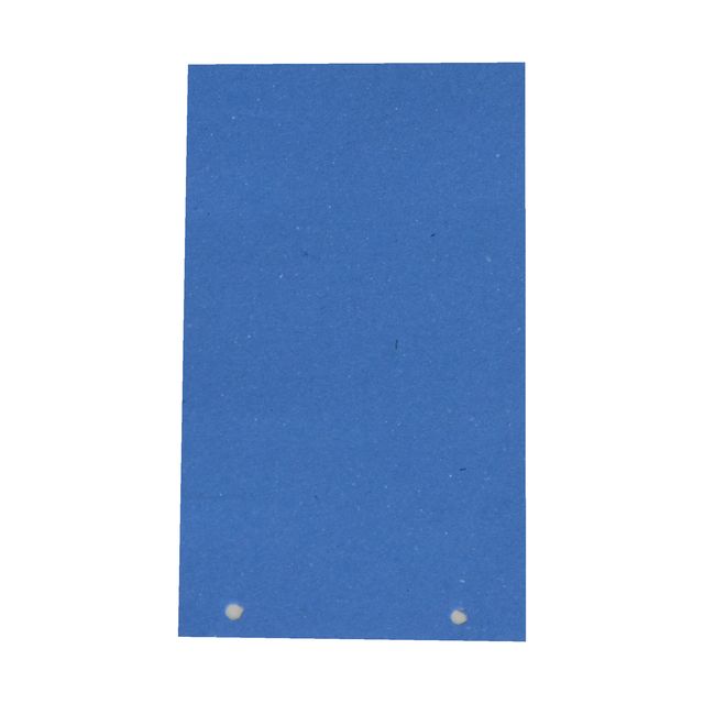 Separatori - cartoncino Manilla 200 gr - 12,5 x 23 cm - azzurro - Cartotecnica …