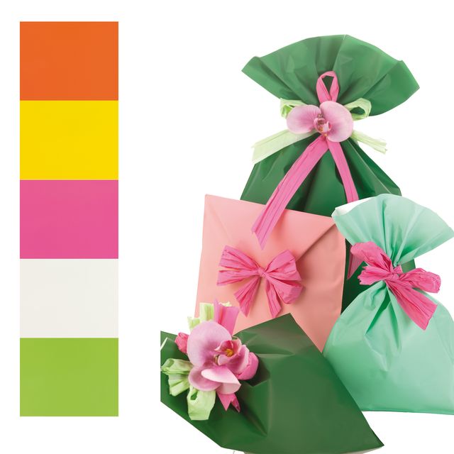 Busta regalo Mat Pearly B - 16 x 25 cm - 40 micron - PPL - assortimento 5 color…