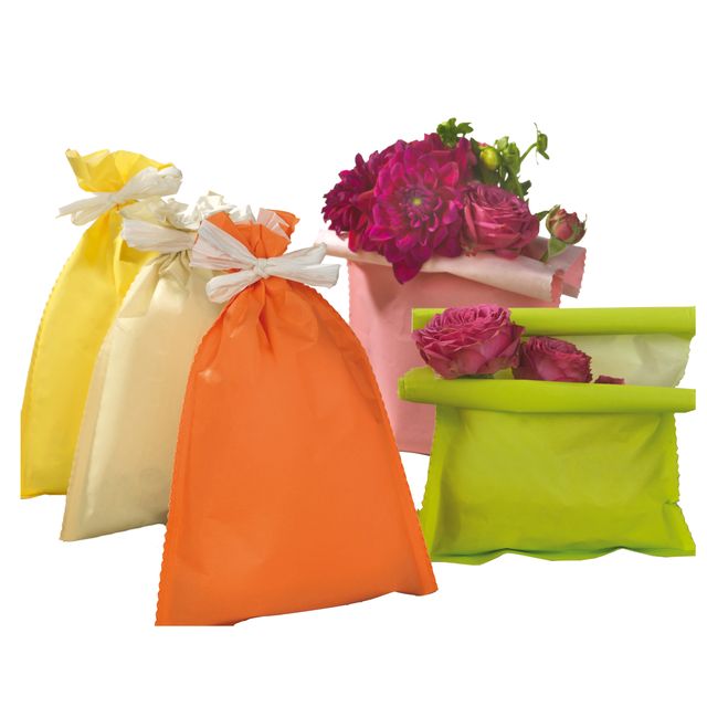 Busta regalo Spring - 16 x 25 cm - 45 gr - carta - 5 colori assortiti - PNP - c…