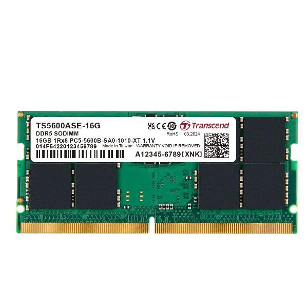Transcend - DDR5 - modulo - 16 GB - SO DIMM 262-pin - 5600 MHz / PC5-44800 - CL…