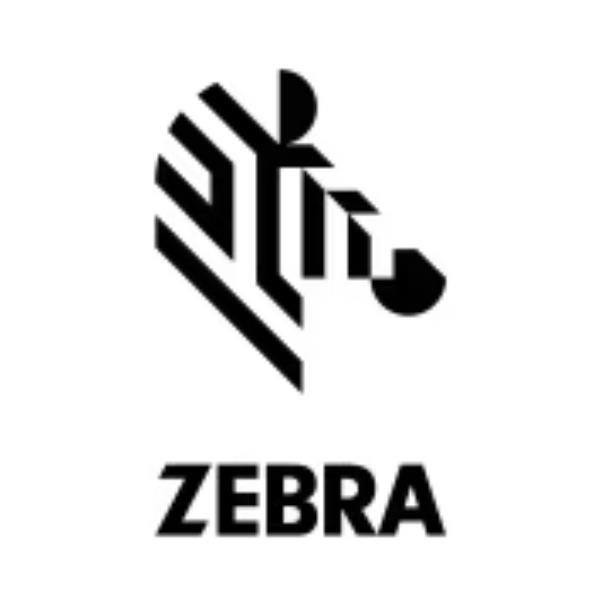 Zebra Z-Perform 1000T - Carta - Opaca - adesivo acrilico permanente - Non rives…
