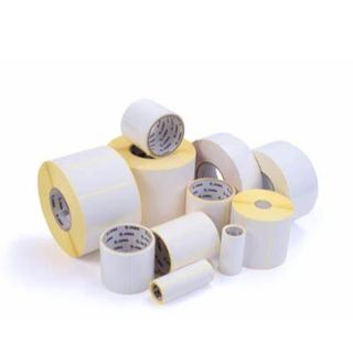 Zebra Z-Perform 1000T - Carta - adesivo acrilico permanente - Non rivestita - b…