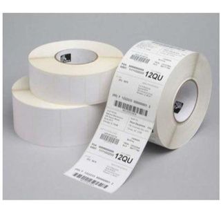 Zebra Z-Perform 1000T - Opaca - adesivo acrilico permanente - bianco - 50.8 x 8…