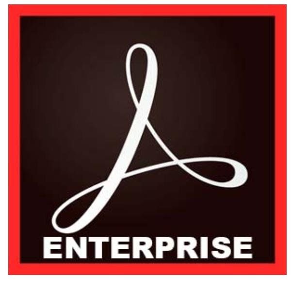 Adobe Acrobat Pro for enterprise - Nuovo abbonamento (1 anno) - 1 utente - GOV …