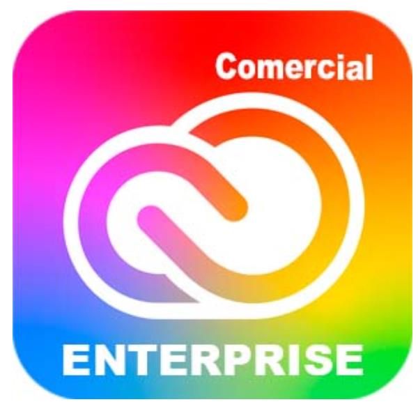 Adobe Creative Cloud for Enterprise - All Apps - Nuovo abbonamento (1 anno) - 1…