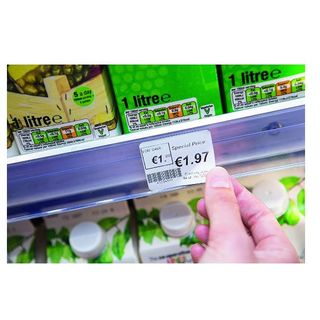 Brother RuggedJet RJ-2030 - Stampante per scontrini - termico diretto - Rotolo …