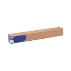 Epson Premium Glossy Photo Paper (170) - Lucido - Rotolo (41,9 cm x 30,5 cm) 1 …