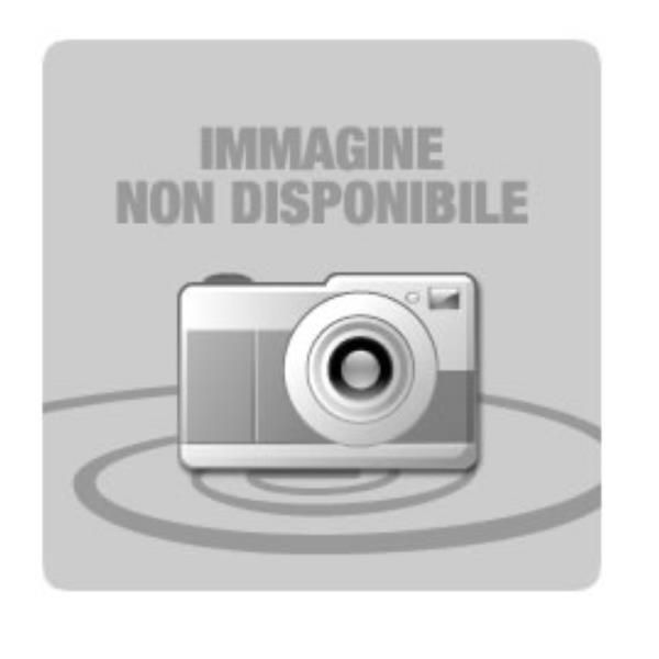 Epson Premium Luster - Lucido - A4 (210 x 297 mm) 250 fogli carta fotografica -…