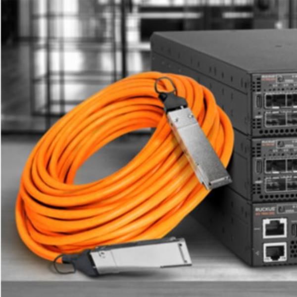 Ruckus - Cavo applicazione diretta 10GBase - SFP+ a SFP+ - 1 m - biassiale - IE…