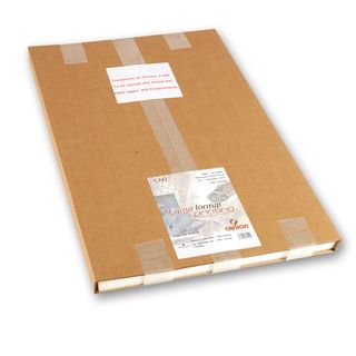 Carta plotter in fogli - A1 - 90 gr - inkjet - opaca - bianco - Canson - conf. …