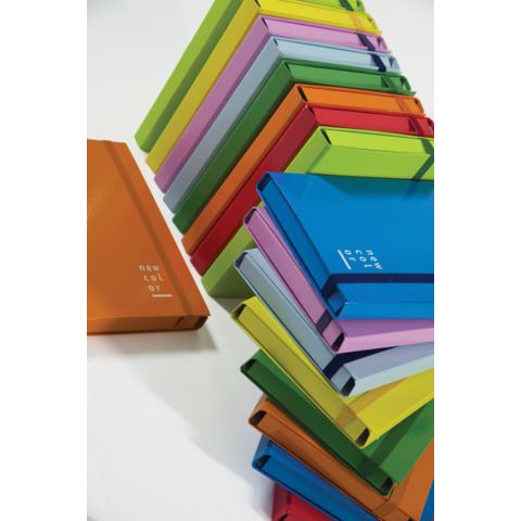 Cartella a 3 lembi con elastico piatto BREFIOCART NEW COLOR 25x35 cm dorso 5 cm…