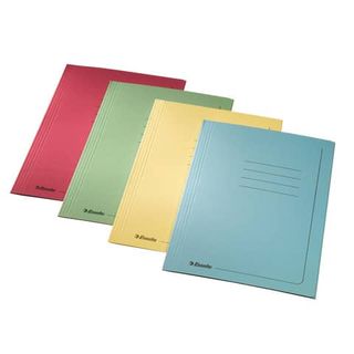 Cartellina 3 lembi con stampa - 295 gr - 25x35 cm - azzurro - Esselte - conf. 2…
