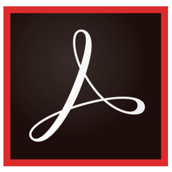 Adobe Acrobat Pro for teams - Nuovo abbonamento (1 anno) - 1 utente nominale - …