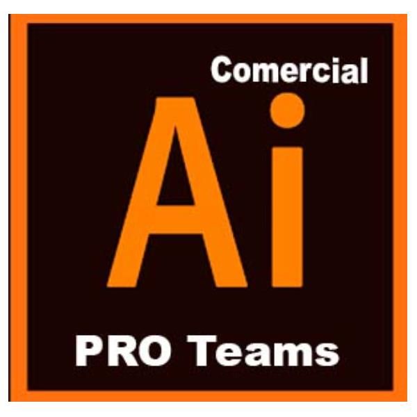 Adobe Illustrator Pro for teams - Nuovo abbonamento (annuale) - 1 utente - GOV …