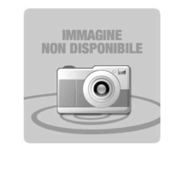 Epson - Semi-lucida - Rotolo (40,6 cm x 30,5 m) 1 rotoli carta fotografica - pe…