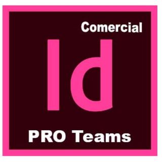 Adobe InDesign Pro for teams - Nuovo abbonamento (1 anno) - 1 utente - GOV - Ad…
