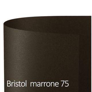Cartoncino Bristol Color - 50 x 70 cm - 200 gr - marrone 75 - Favini - conf. 25…